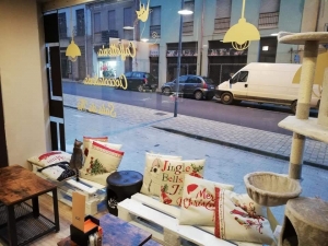 Cat Cafè Gatto in Tazza