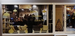 Cat Cafè Gatto in Tazza